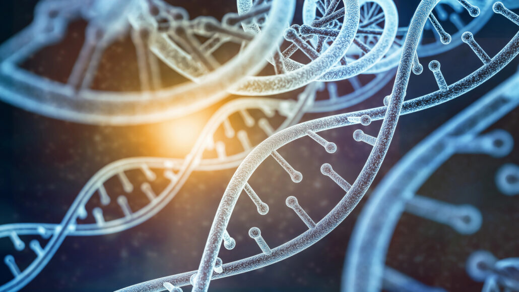 Epigenetik, die Wissenschaft von der Beeinflussbarkeit der Gene.