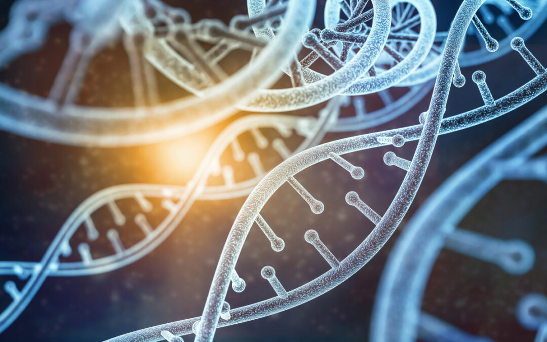 Wie Epigenetik deine Gesundheit und Langlebigkeit beeinflusst